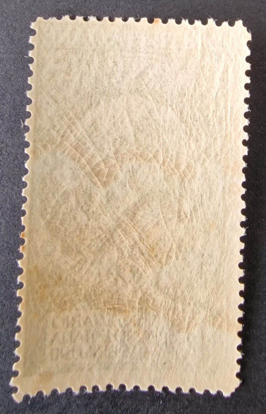 Italy 1911 SG87 Sassone 93var 5c(+5c) Deep Green P13½x13½ Fine Mint