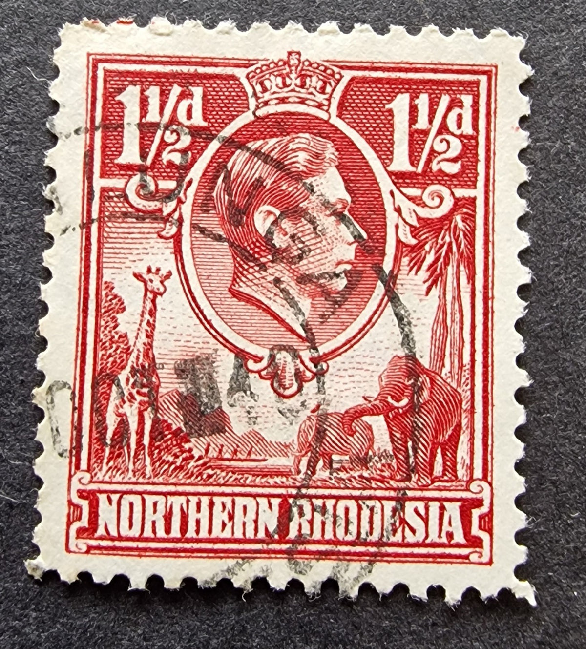 Northern Rhodesia KGVI 1938-52 SG29b 1½d 'Tick Bird' Flaw Used Cat £450